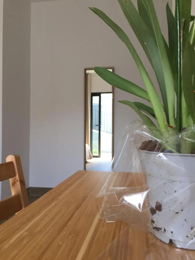 Calheta Ocean View Apartment 2 - Air Condition Estreito da Calheta